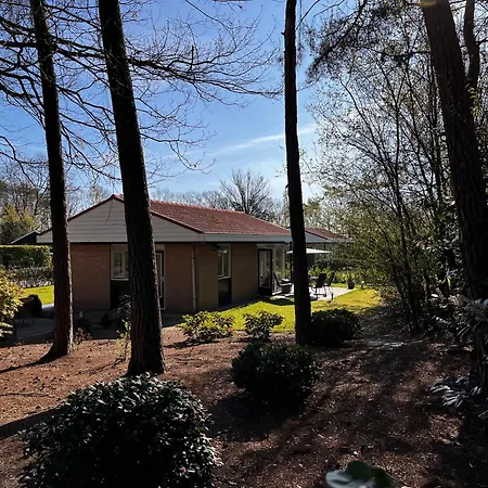 Fijne Plek Met Eigen Bos 2000M2 En Gratis Linnen En Handdoeken!! Denekamp Exterior photo