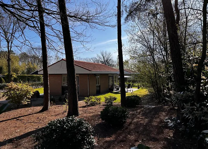 Fijne Plek Met Eigen Bos 2000M2 En Gratis Linnen En Handdoeken!!